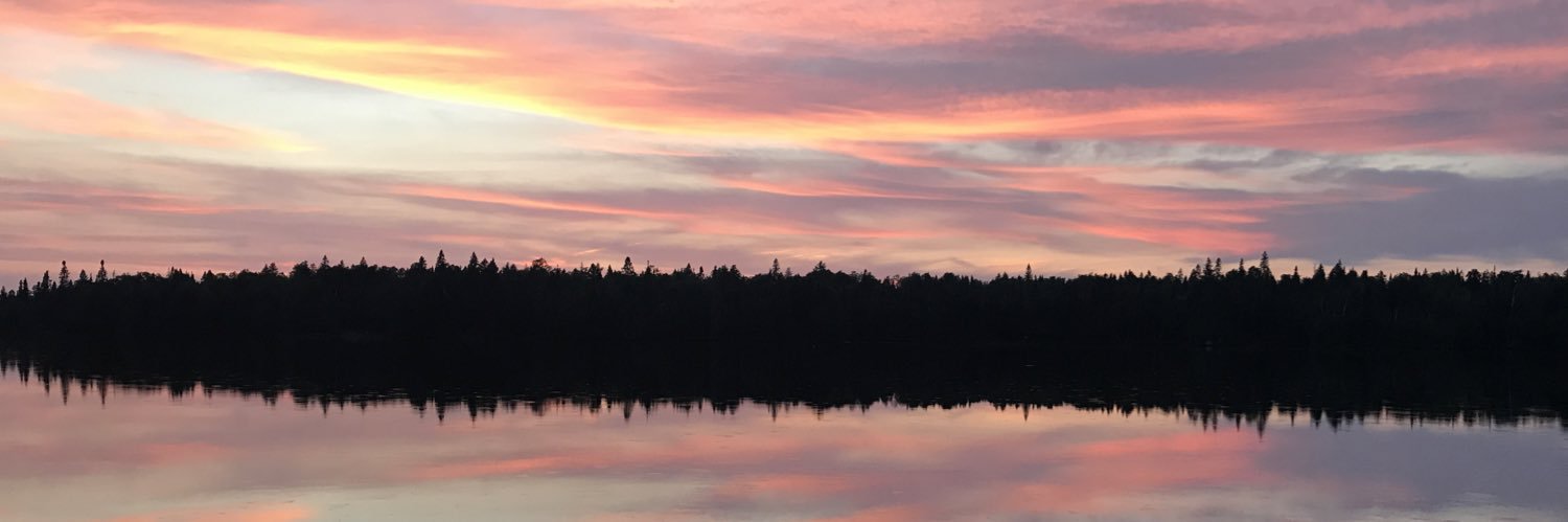 AndyNFrench's profile banner image