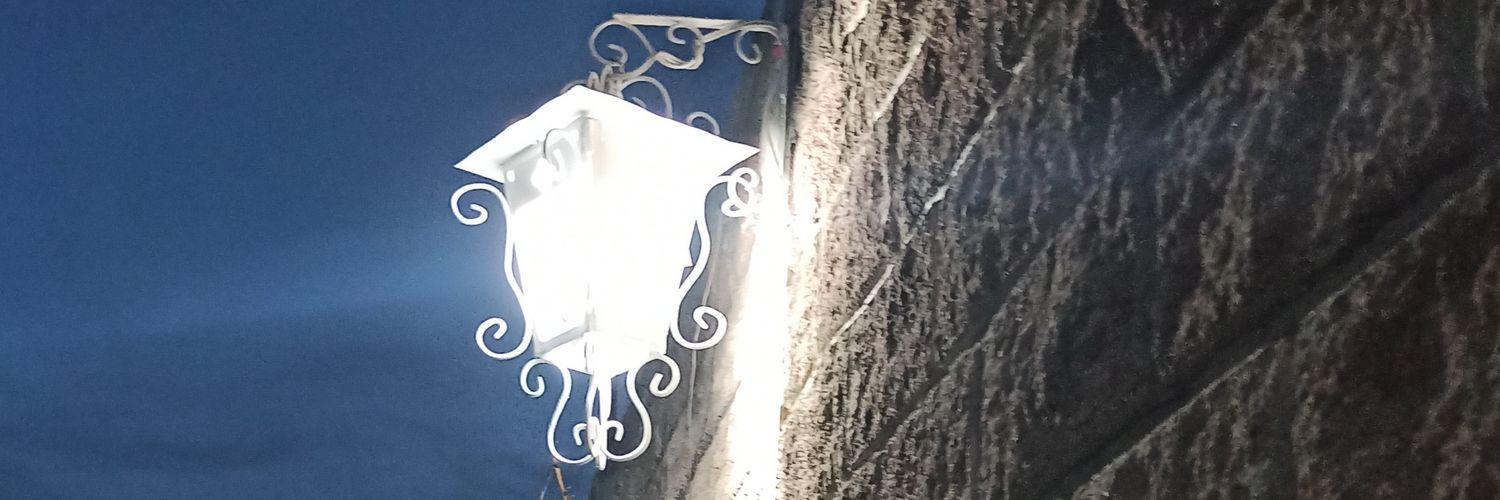 fjcanseko's profile banner image