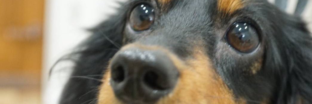 bushi__35's profile banner image