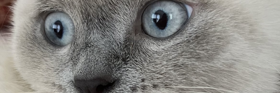 ecemozkan20's profile banner image