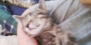 sammyrules13's profile banner image