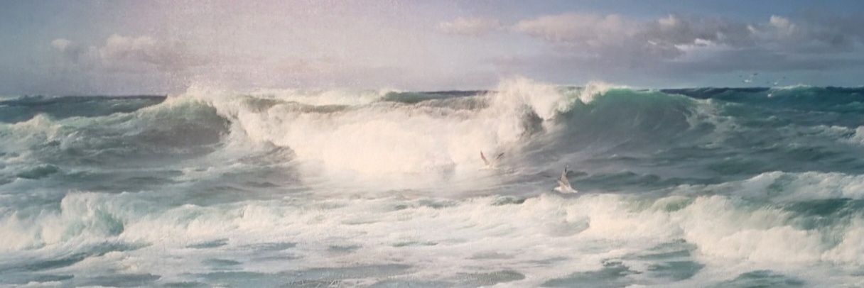 Rohan 🌱🔸️🇧🇷 banner