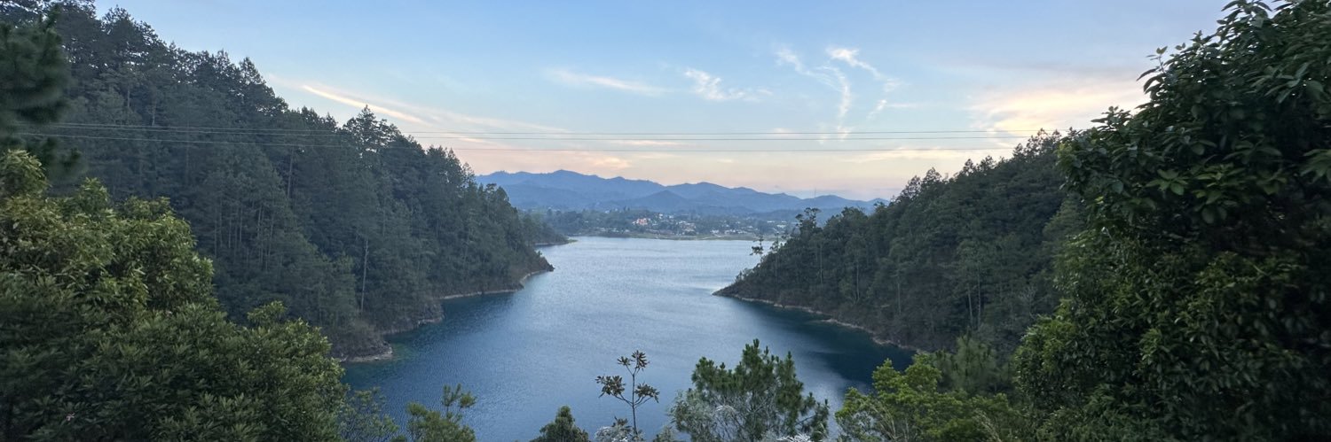 Lorena Ruiz 💜💚 banner