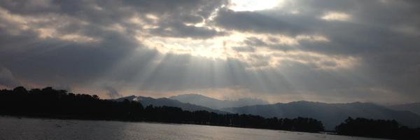 MaterialBee Profile Banner