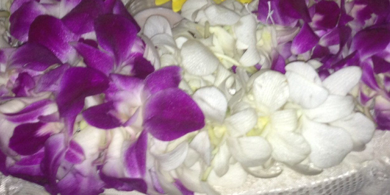 LilMisSunshine_'s profile banner image