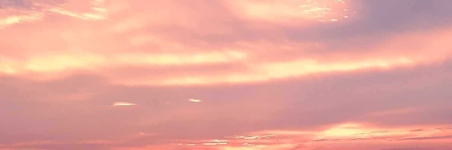 melodi137's profile banner image