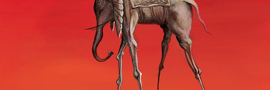 HCMaiu's profile banner image