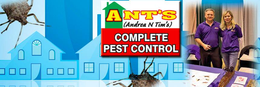 AntsPestControl's profile banner image