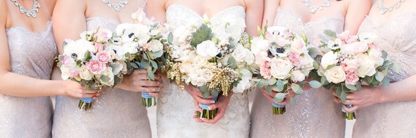 SchemeEvents Profile Banner