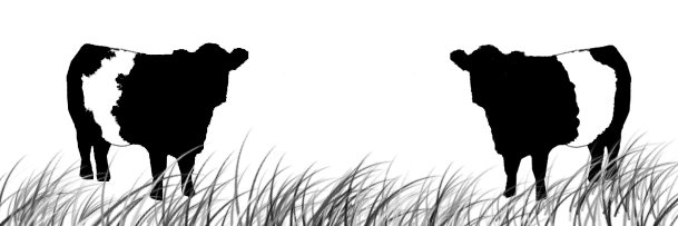 sablehost's profile banner image