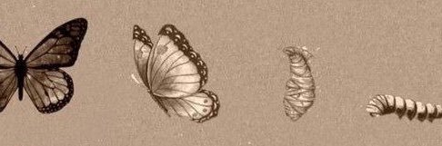 ❄️ banner