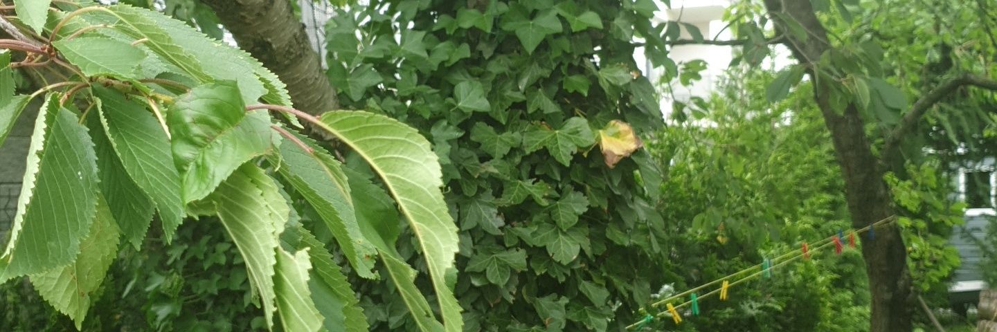 Katarzyna Bertnicka banner