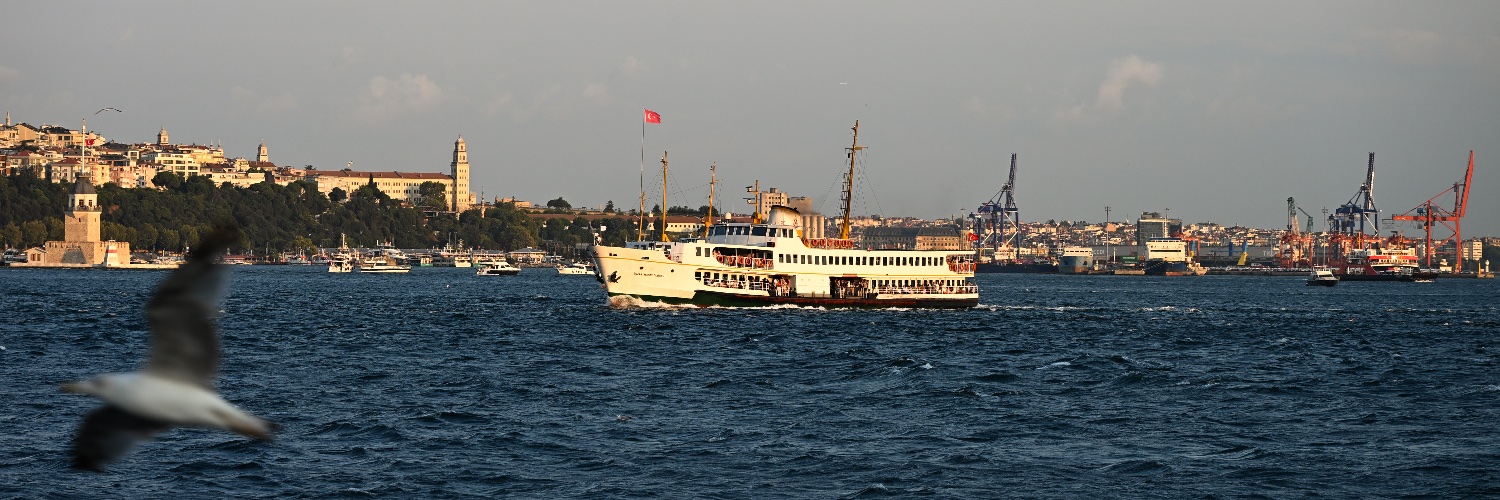 ilkerfsoylu's profile banner image