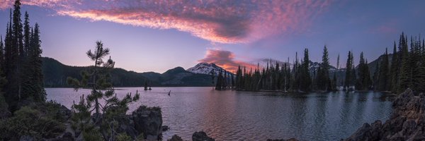 LurkCollectives Profile Banner