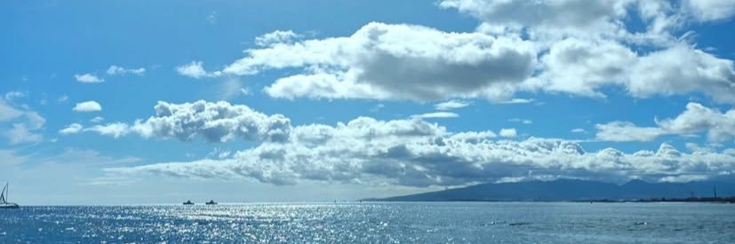 あみまみまあ banner
