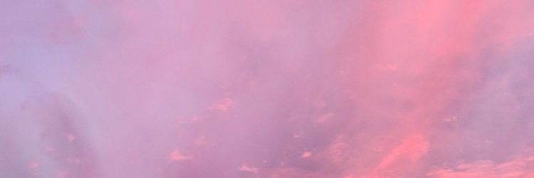 sunflowerrsm's profile banner image