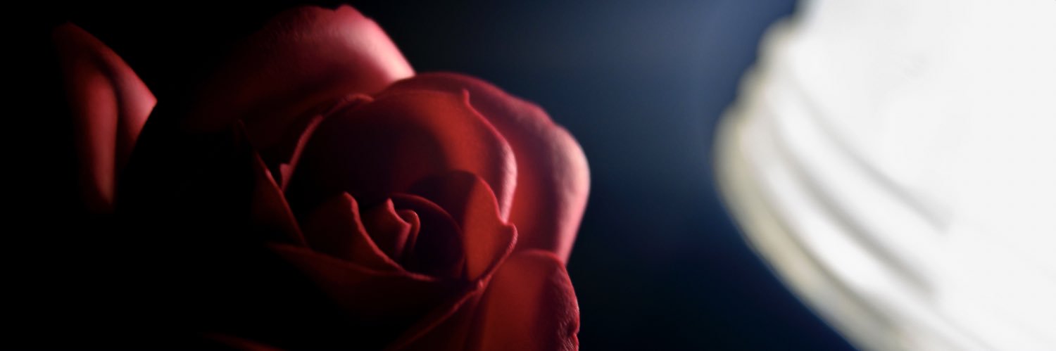 wwxq13's profile banner image