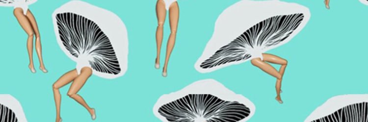 J. Booney banner