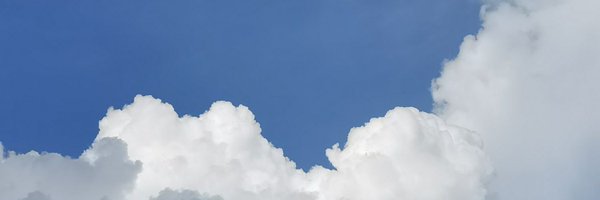 LusiRuTheLamp Profile Banner