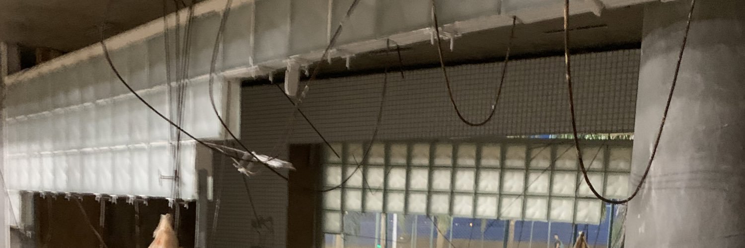 pfvrgreg's profile banner image