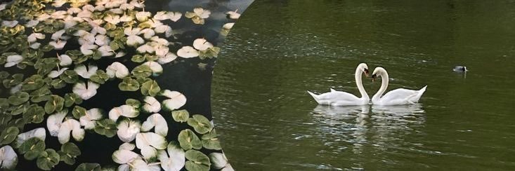 نبتّه🌱 banner