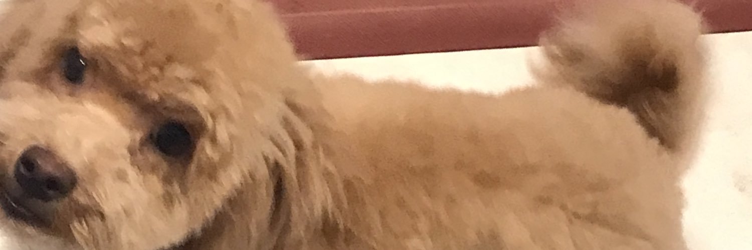 brandleybubba's profile banner image