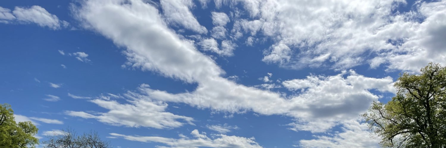 Maggie Wright banner