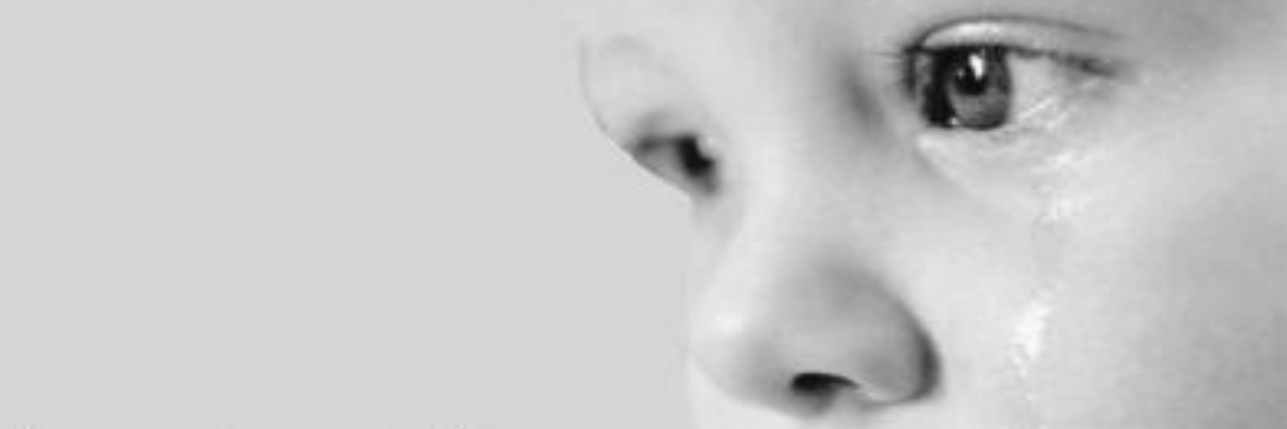 madeireiro's profile banner image