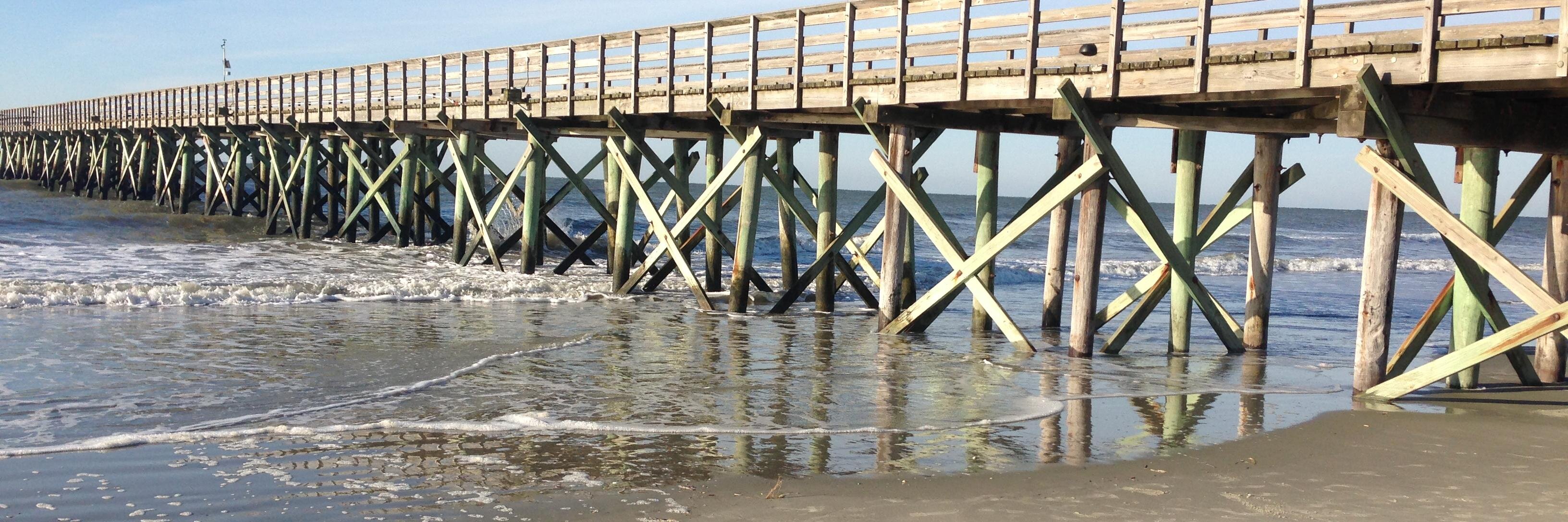 Maura Allen Gast banner