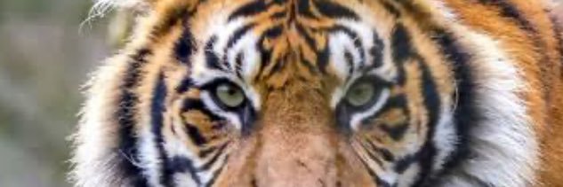 PerparimBega's profile banner image