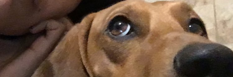 debori1996's profile banner image