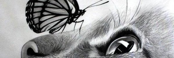 b_iz75 Profile Banner