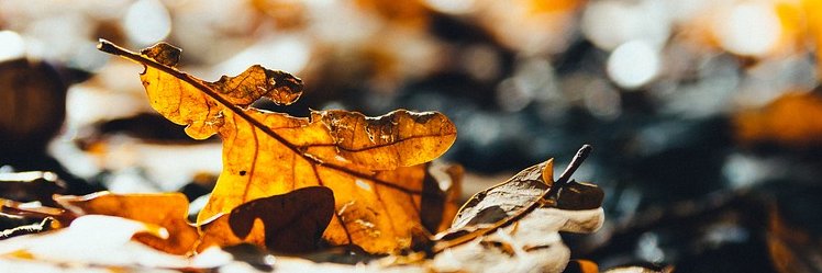CrookedNumber's profile banner image