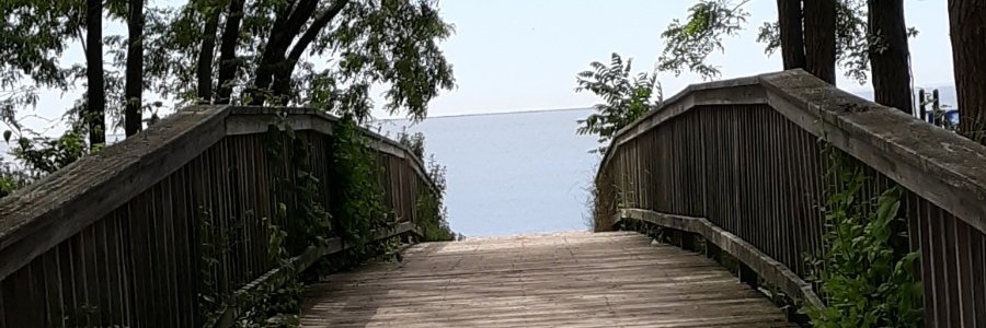 Lynette vonAllmen banner