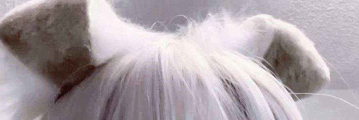 imdeadg1rl's profile banner image