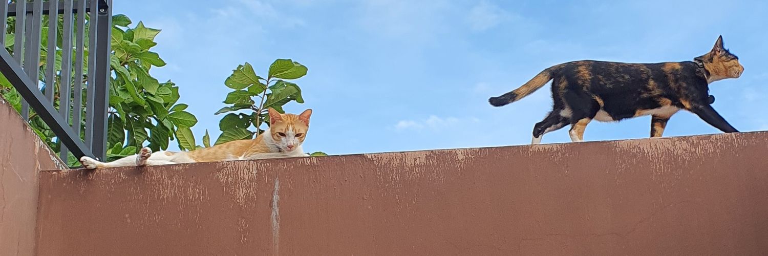 fantagoni's profile banner image