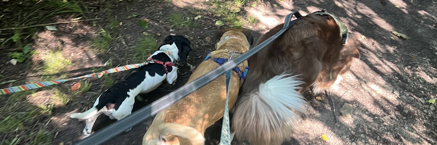 SydneeFrances's profile banner image