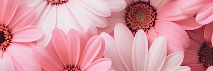 abychoi's profile banner image