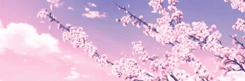 kvtiely's profile banner image