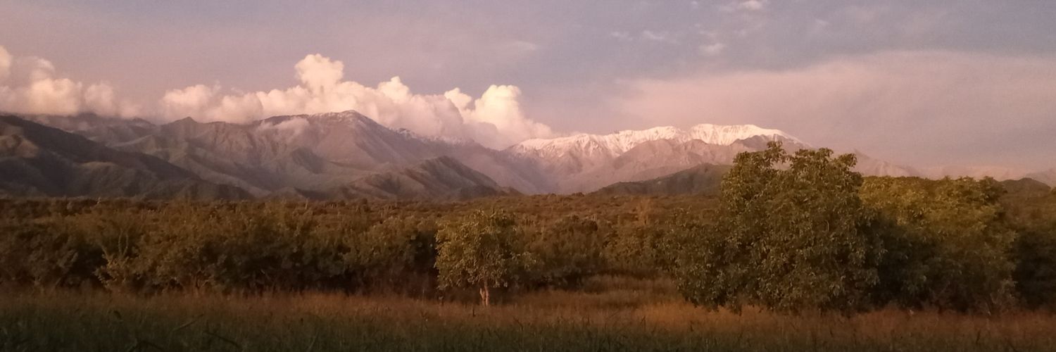ttunnyy's profile banner image