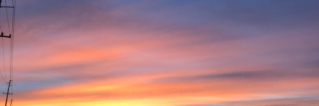 caraauerbach's profile banner image