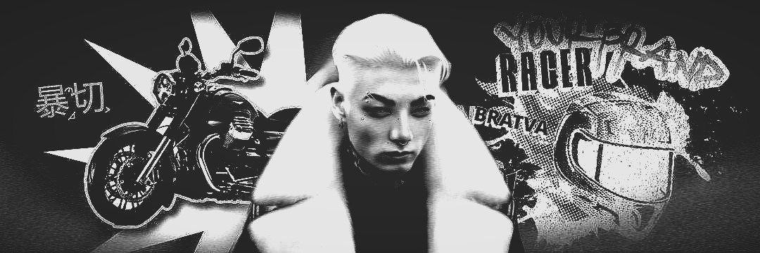 ` 𝙑𝙞𝙠tor. banner