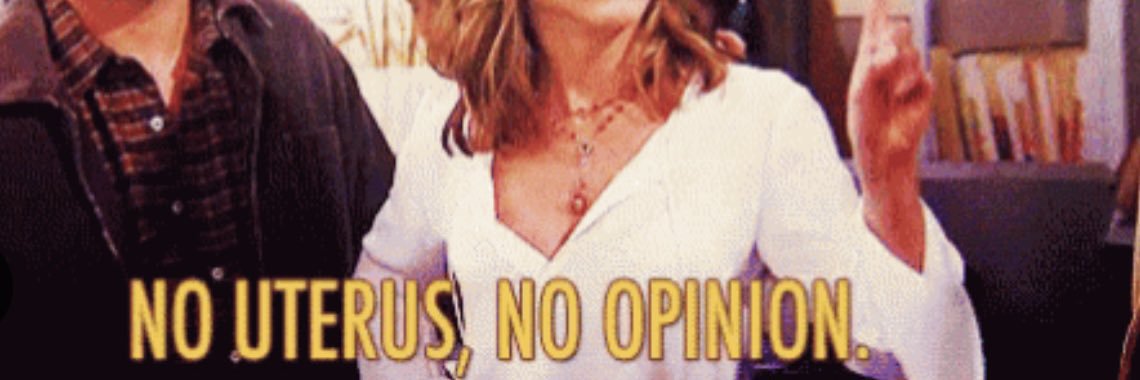 so silly 🦊 banner