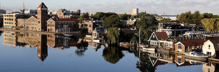 Eylem Koseoglu banner