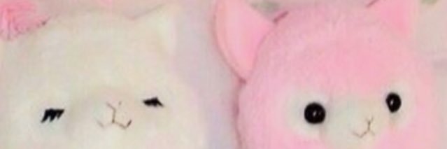 Akvsha's profile banner image