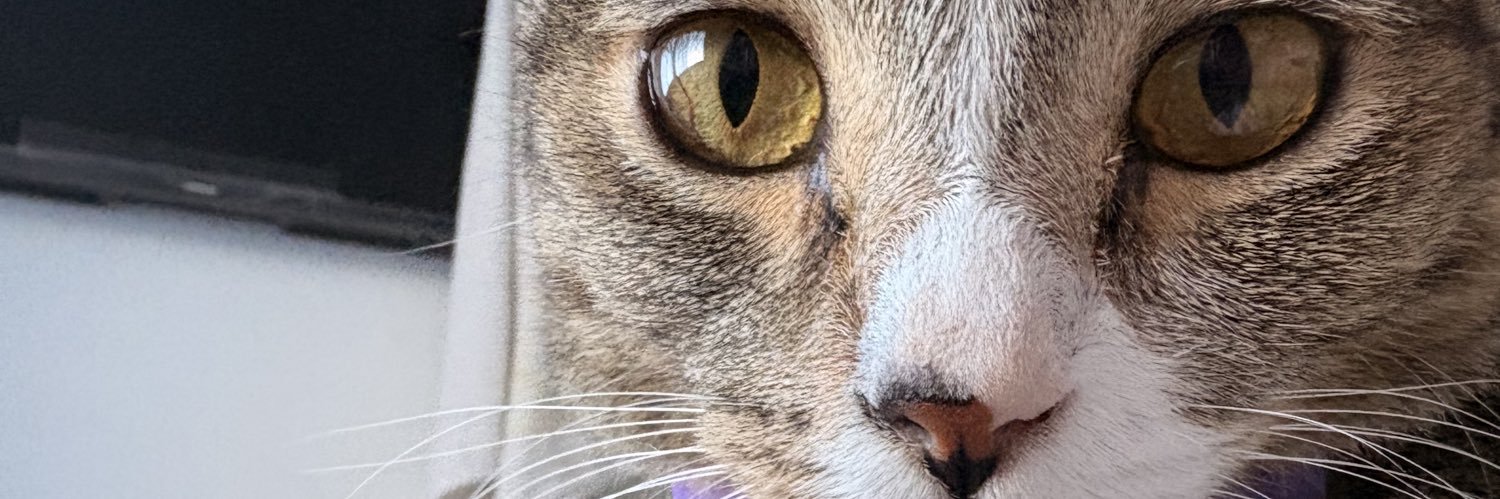 NaniAleja's profile banner image