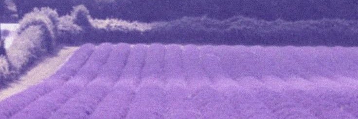 aldseraem's profile banner image
