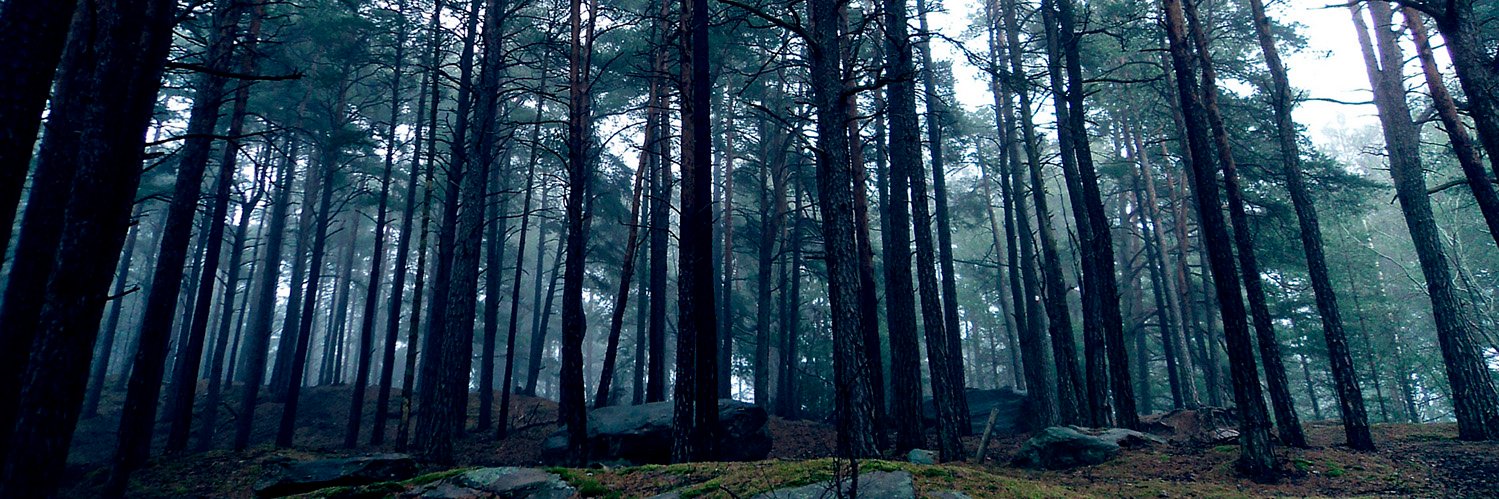 knokkelmanns's profile banner image