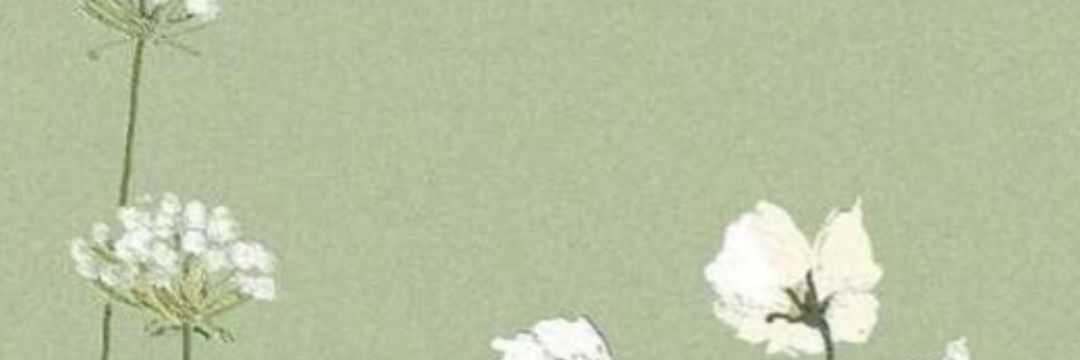 fati_sil's profile banner image