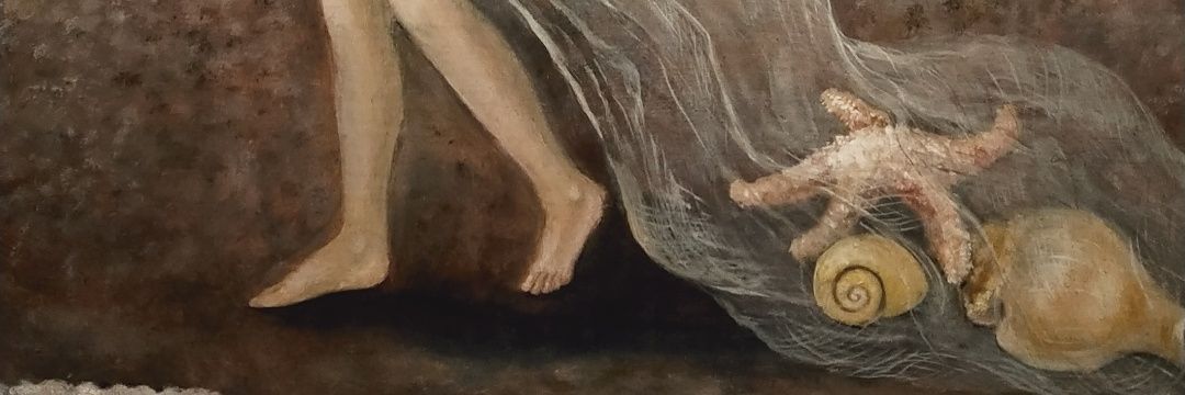 constanza lambertucci banner